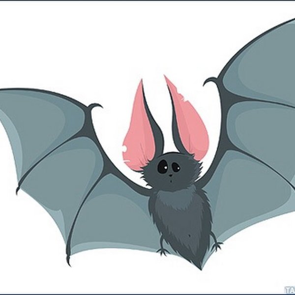 Летучие мыши мультяшные