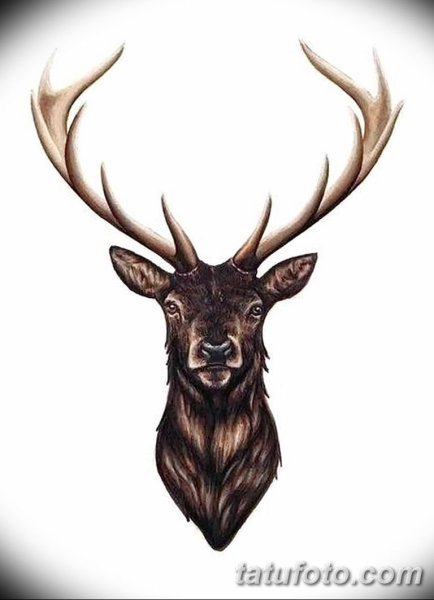 Олень эскиз