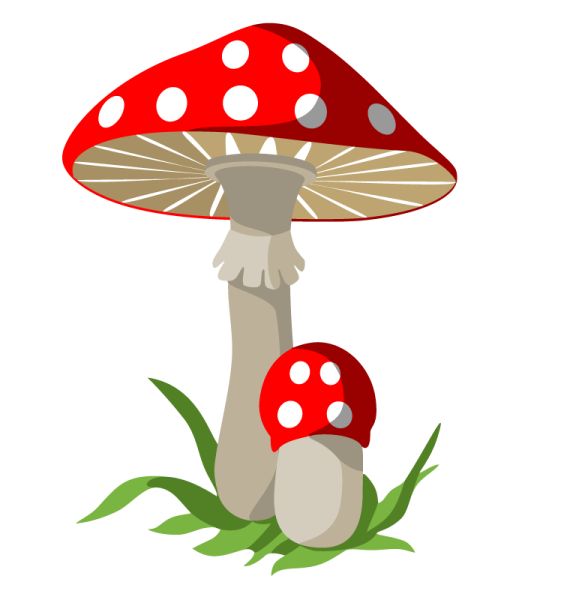 Грибы (мухомор, поганка)- для дошкольников