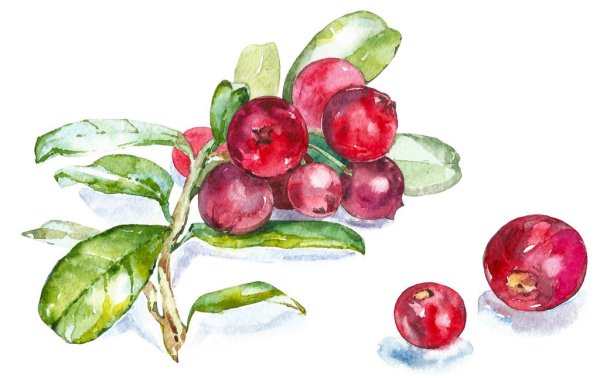 Нарисовать клюкву