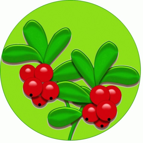 Клюква рисунок