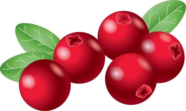 Набор для вышивания м.п.студия"дары лета"