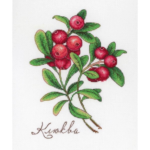 Брусника акварель