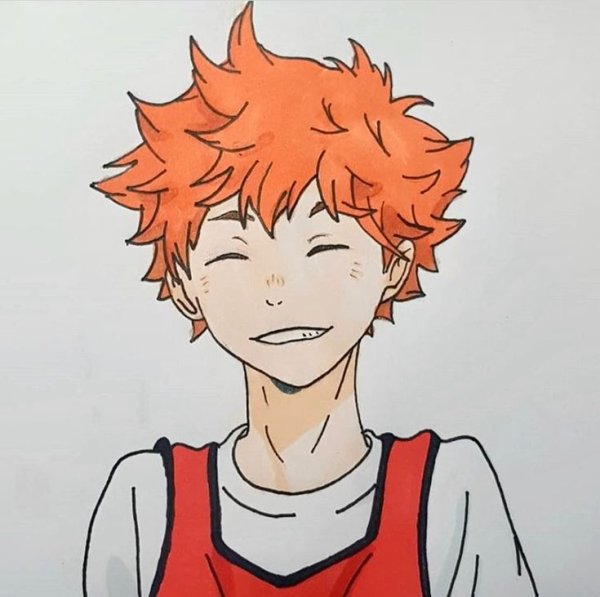 Хината шоё рост