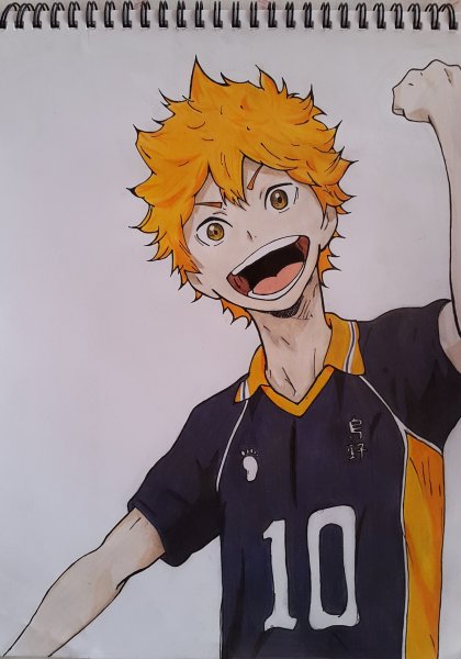 Хината шоё волейбол