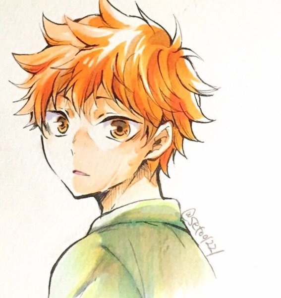 Хината шоё арт