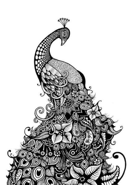 Зентангл Павлин