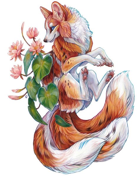 Кицунэ Фокс арт