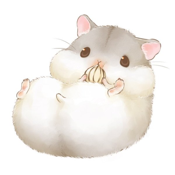 Хомяк Тимофей