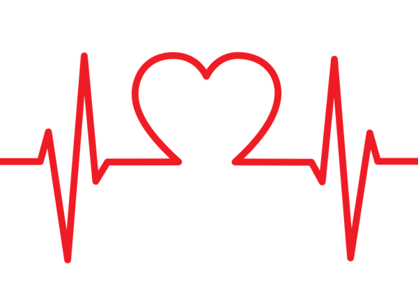 Кардиограмма сердца