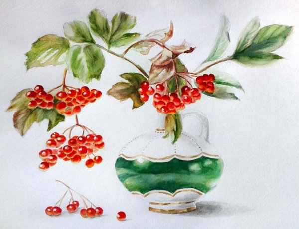 Рисунок калины