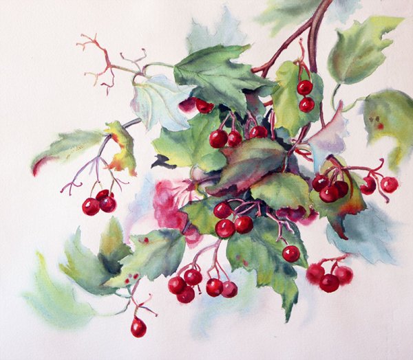 Набор для вышивания м.п.студия"дары лета"