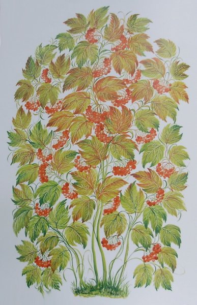 Рябина раскраска