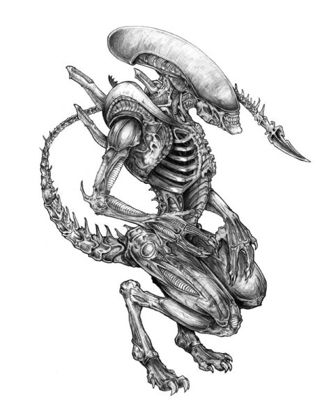 Xenomorph Alien чертеж