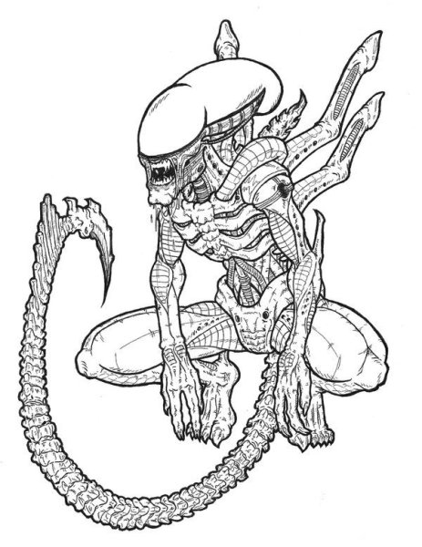 Чужой рисунок