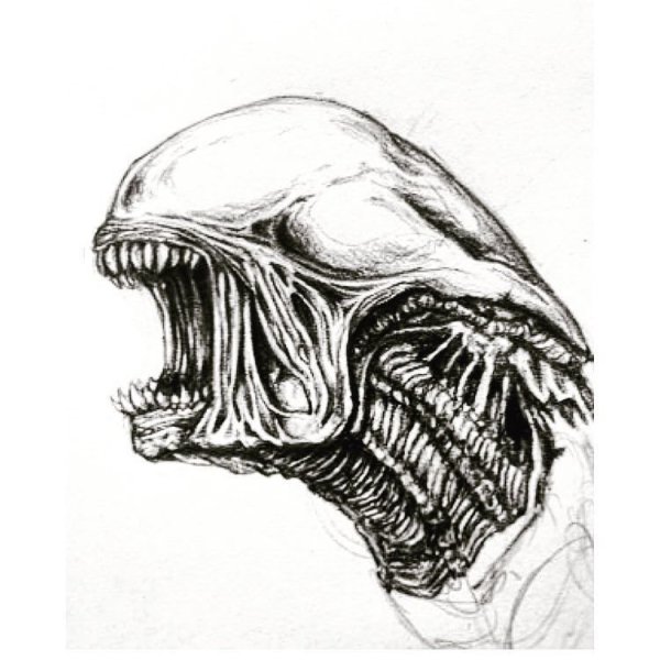 Чужой эскиз