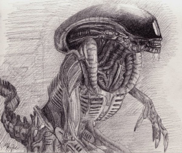 Гигер картины чужой анатомия