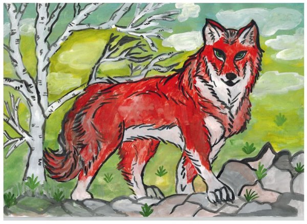 Нарисовать красного волка