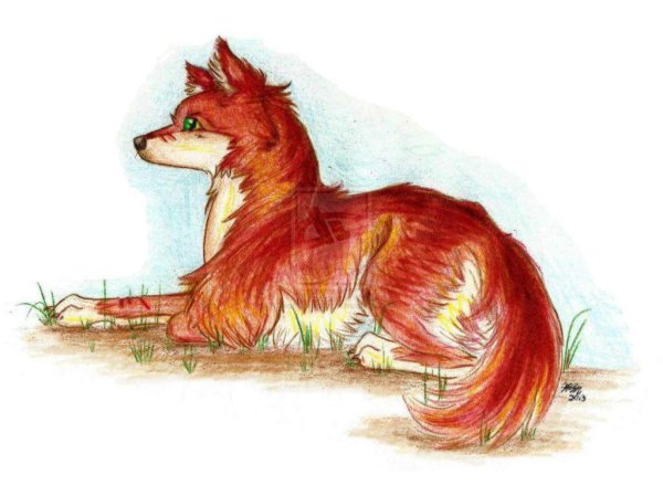 Картинки волка для срисовки