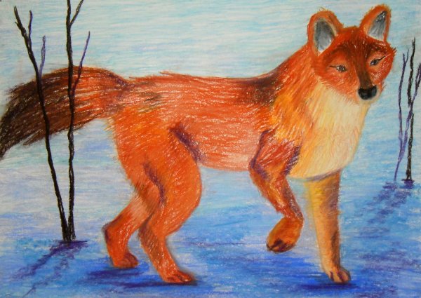 Красный волк для срисовки