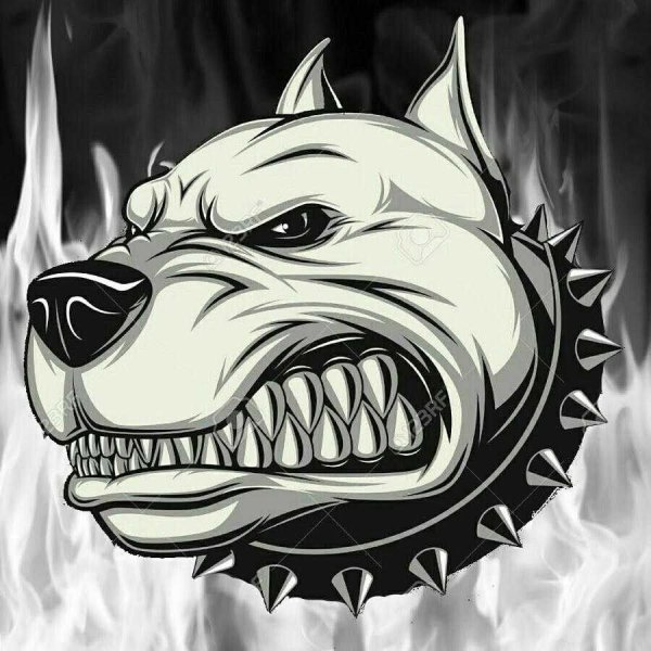 Злая морда собаки