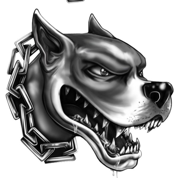 Питбуль арт