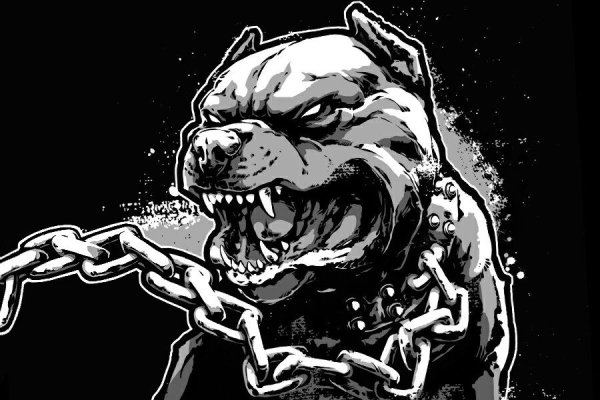 Оскал питбуля