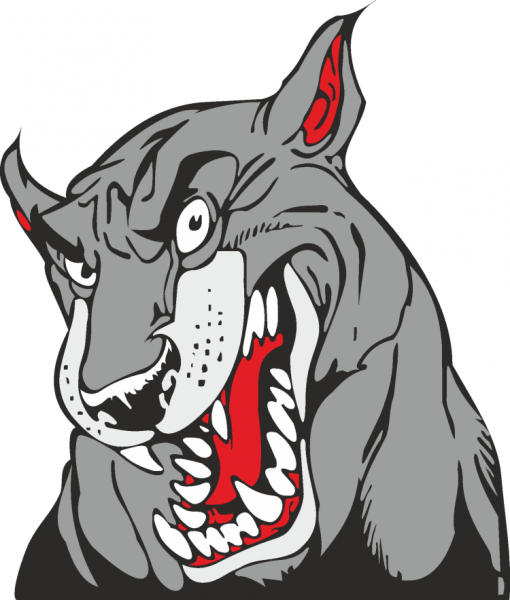 Изображение злой собаки