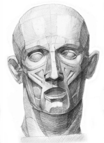 Экорше Гудона голова