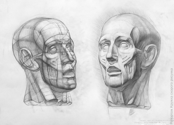 Экорше Строгановка