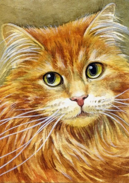 Рыжий кот нарисованный