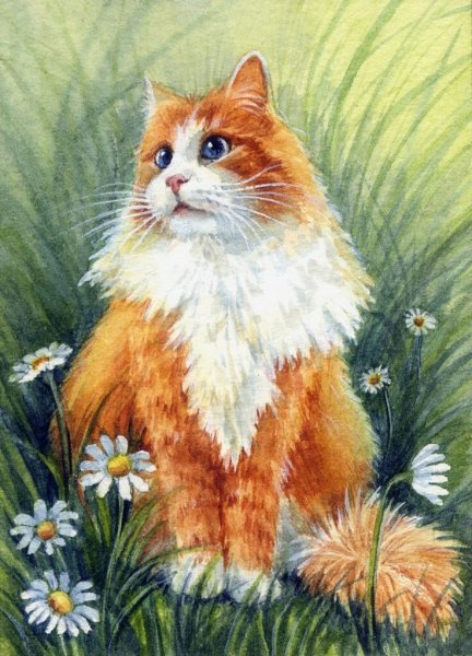 Акварельные коты/американская художница Elena Mezhibovsky