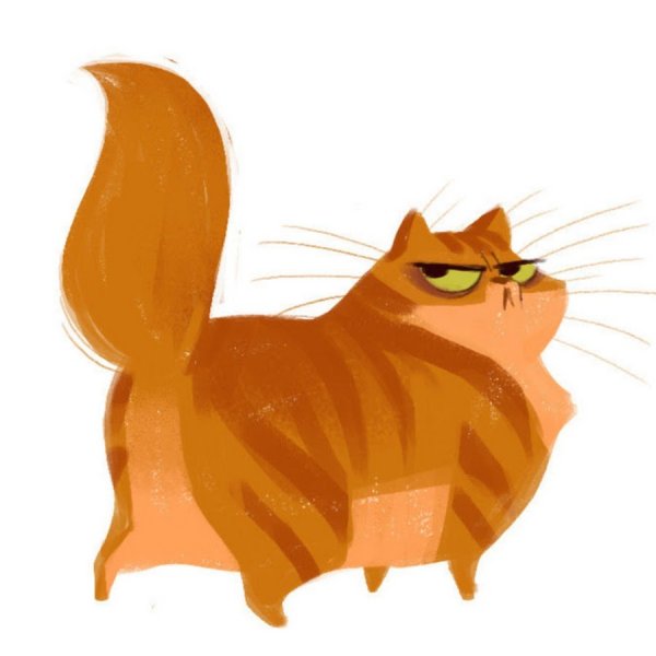 Heather Nesheim кошки