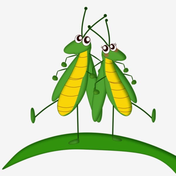 Кузнечик раскраска