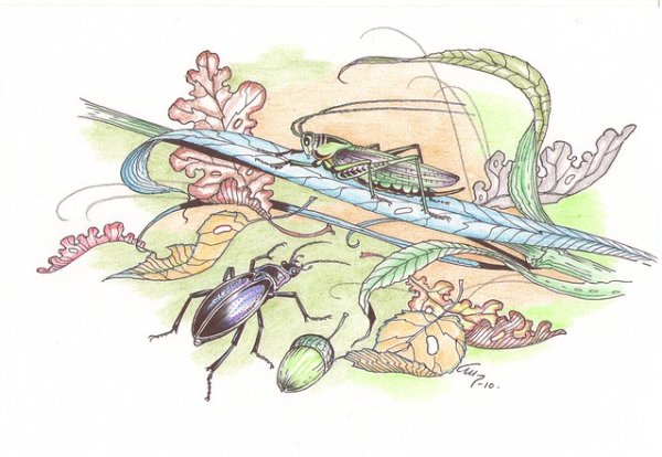 Кузнечик Чуковский