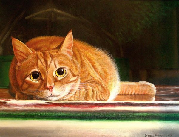 Рыжий кот живопись