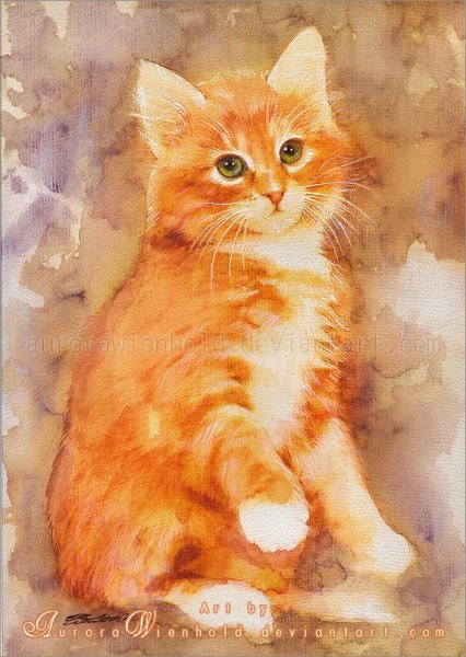 Aurora Wienhold картины