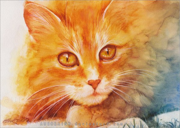 Aurora Wienhold картины