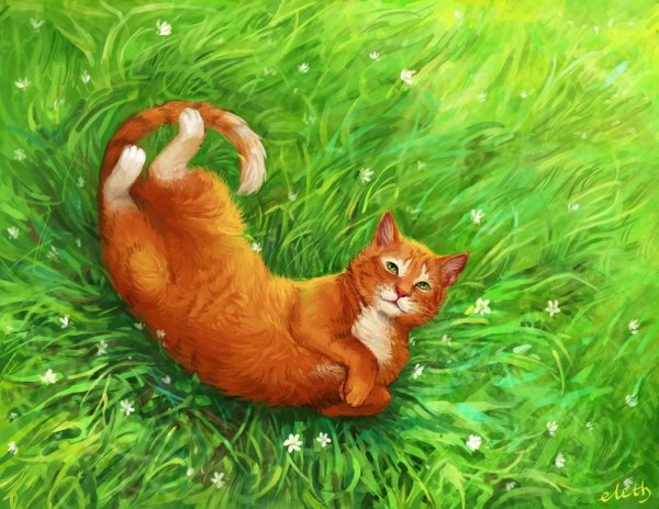 Коты Воители рыжая кошка