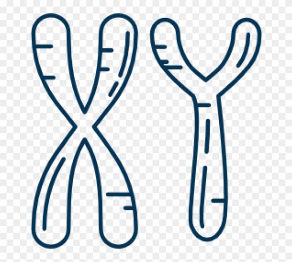 Хромосома значок