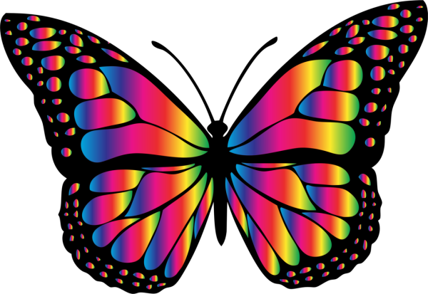 Красивые бабочки на прозрачном фоне