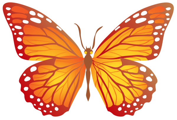 Бабочка рисунок