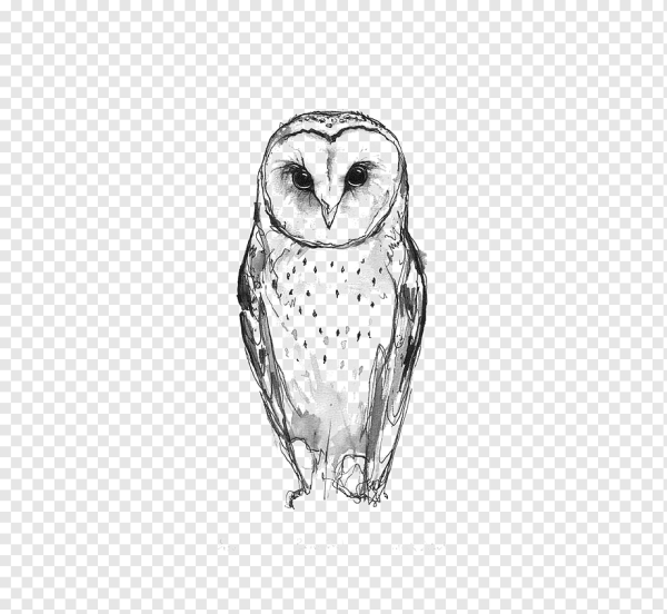 Тату Сова сипуха эскиз