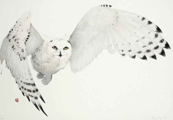 Полярная Сова акварель
