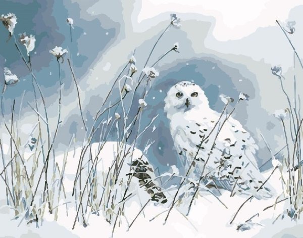 Сьюзен Бордет птицы зима