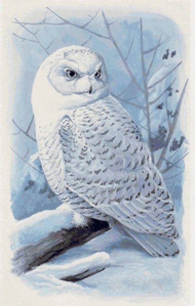 Полярная Сова живопись