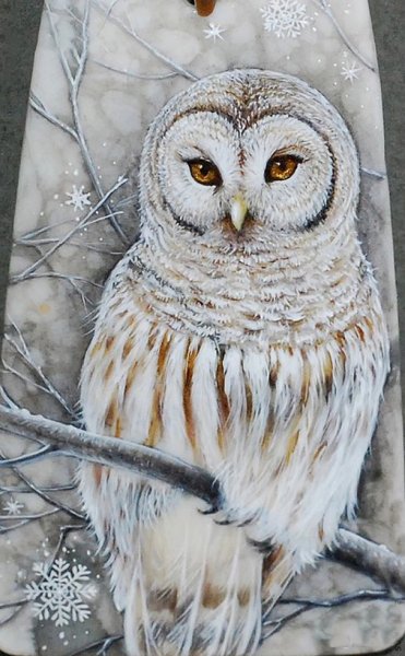Полярная Сова птица