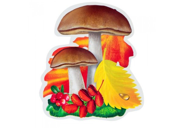 Осенние грибы для детей