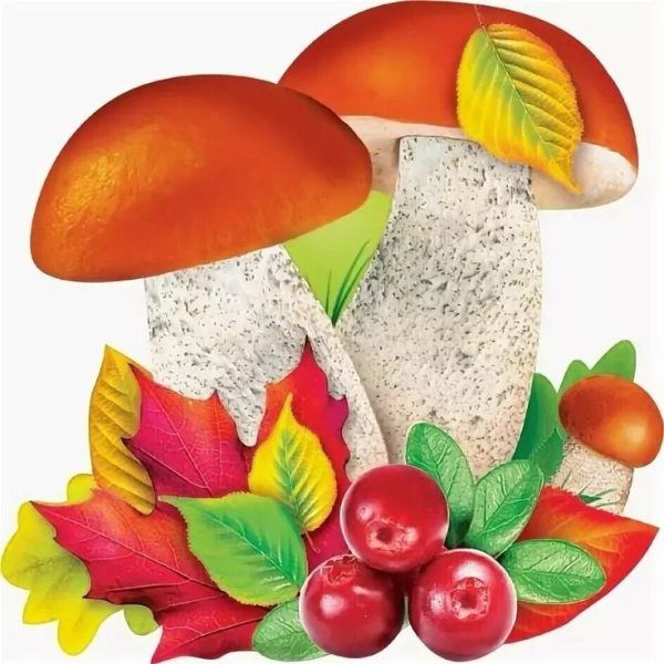 Грибы композиция