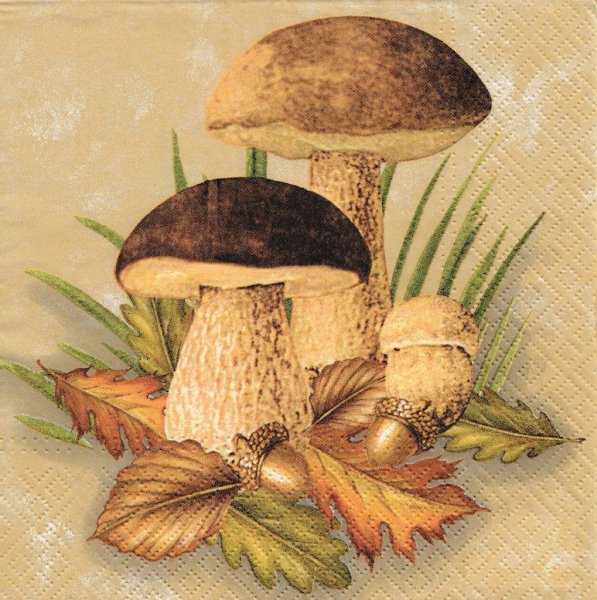 Гриб Боровик рисунок